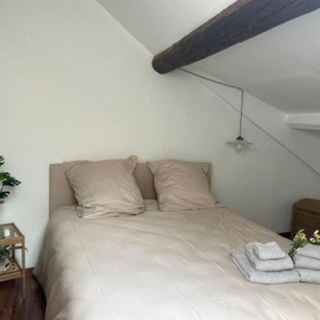 Appartamento Le Fleuri - Reims - Wifi Gratuit - Quartier Calme Esterno foto
